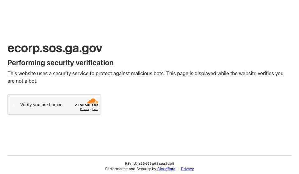 Screenshot of the official Georgia business filing portal