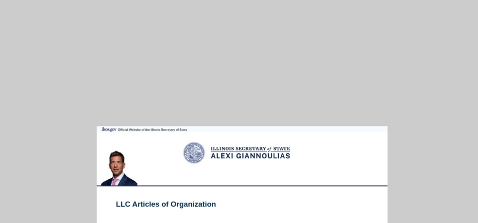 Screenshot of the official Illinois business filing portal