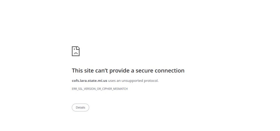 Screenshot of the official Michigan business filing portal